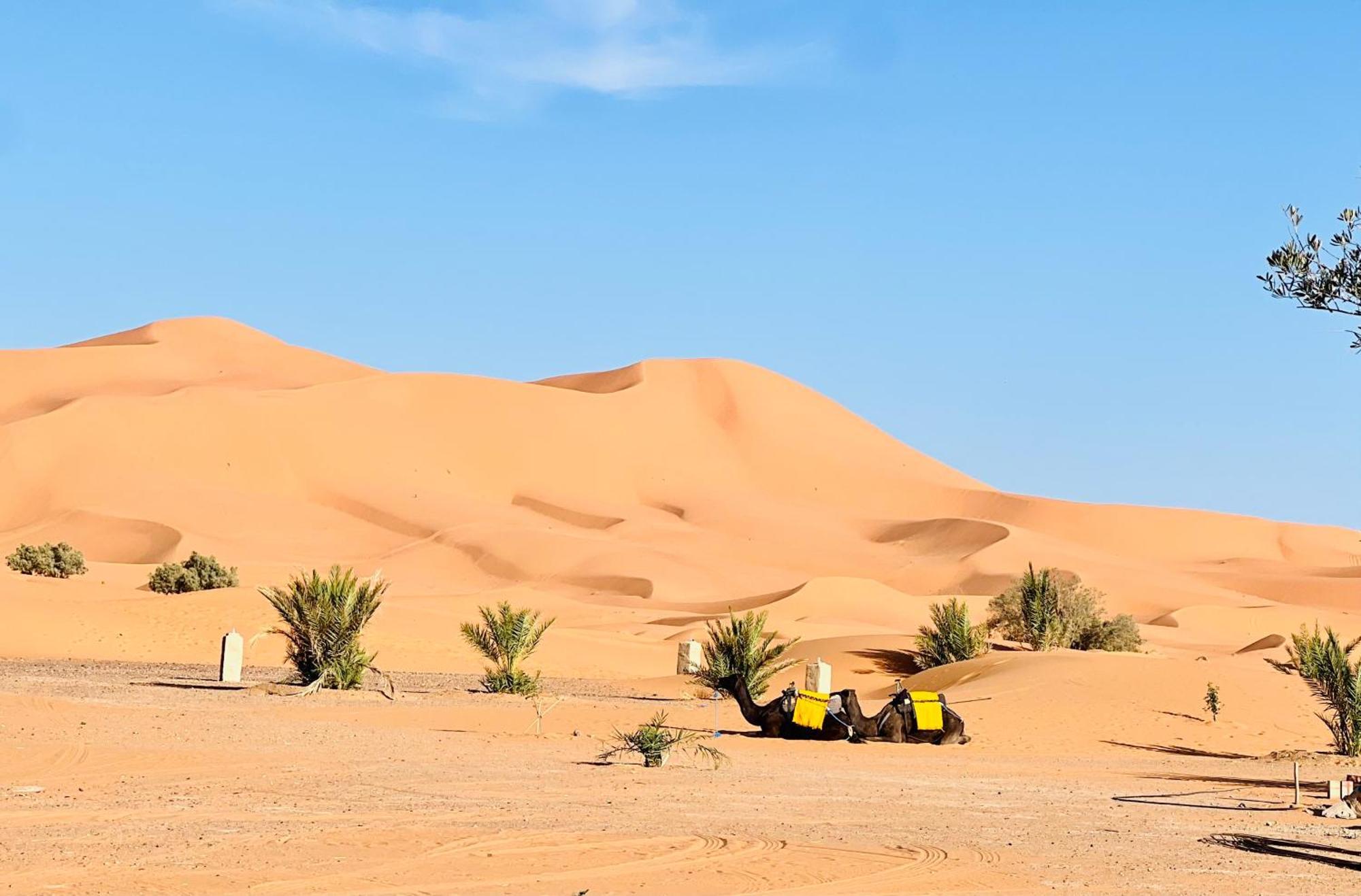 Hotel Camping Les Roses Des Dunes & Piscine Merzouga Luaran gambar