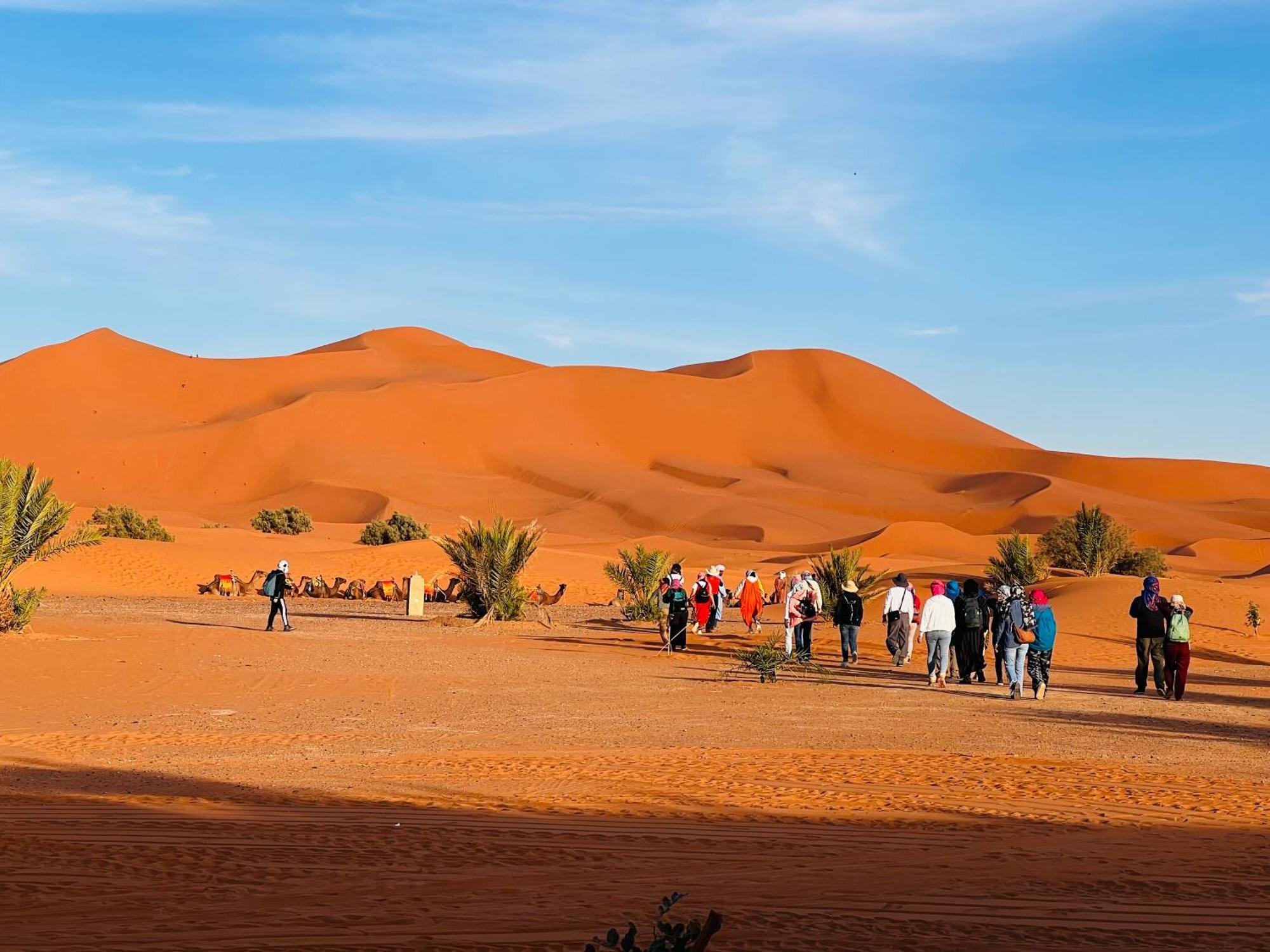 Hotel Camping Les Roses Des Dunes & Piscine Merzouga Luaran gambar
